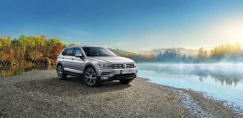 suv車市模范生 途觀摘得合資suv市場上半年銷量桂冠