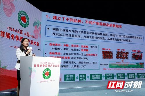 廣藥集團 荔小吉 18款產品上市 助 荔 鄉村振興