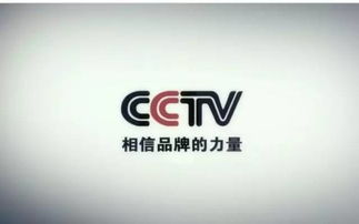 首個中國品牌日,中建四局三位大使有話說