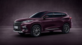 請為奇瑞的執(zhí)著點個贊