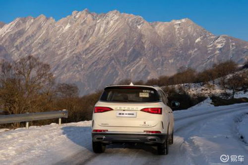 捷途汽車,靠 三新 跑贏了市場