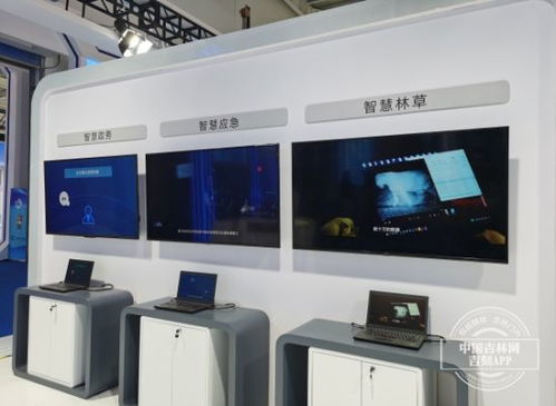 華為亮相展會(huì) 為 數(shù)字吉林 帶來(lái)了什么