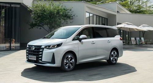 雙胞胎家庭出行有什么推薦 20萬左右途睿歐就帶空懸 丨幫你選mpv