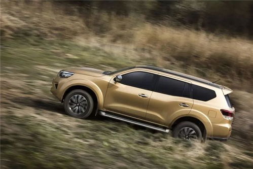 別只關注坦克300 這些車越野也很過癮