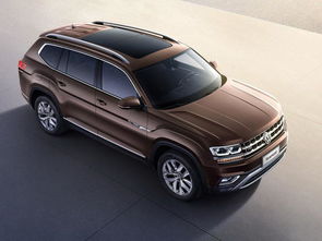 大眾用倆貓兒四個2的可以攪亂中國的suv市場么