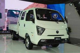 小卡市場百花齊放 齊搶貨運最后一公里