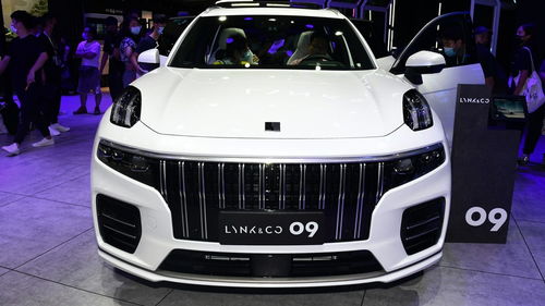 只是樣子貨 槽點(diǎn)和亮點(diǎn)一樣明顯的領(lǐng)克09到底行不行