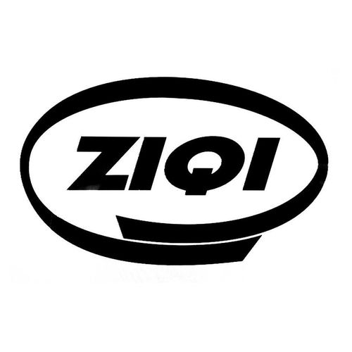 ziqi之祺商標注冊全攻略 進度查詢與成功率分析